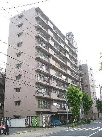 2038画像